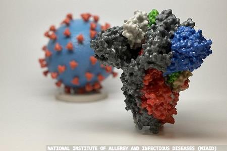 High-throughput bead-assisted mass spectrometry test for SARS-CoV-2