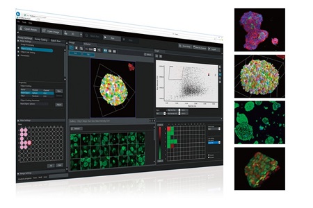Fast and efficient research with advanced 3D cell analysis 