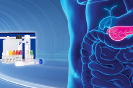 Revolutionising pancreatic elastase testing 