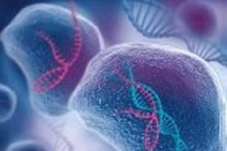 Guide to CRISPR/Cas9 genome editing