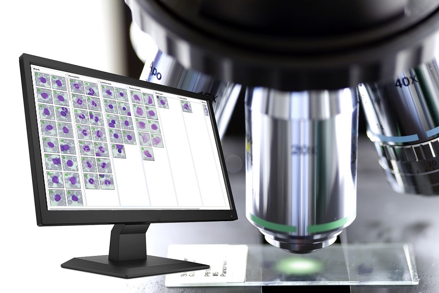 New-look blood cell morphology educational newsletter launched