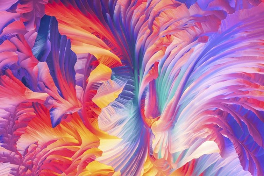 Global Image of the Year Award winners announced