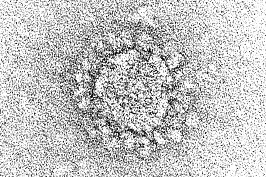 Molecular solutions to detect new SARS-CoV-2 variants from Werfen