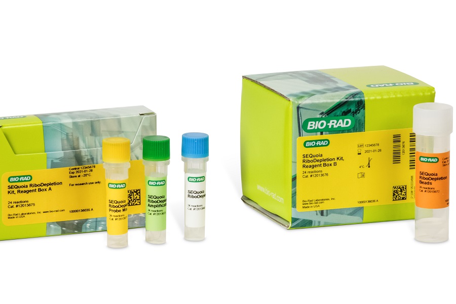 RiboDepletion kit for next-generation sequencing