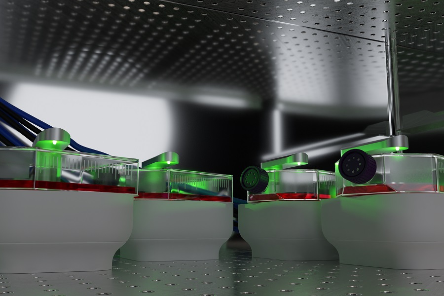 Fluorescence live-cell imaging for simultaneous comparative studies