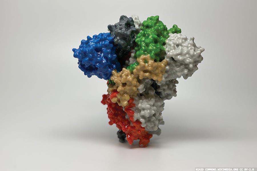 Emergence of SARS-CoV-2 variants: a great challenge of the pandemic