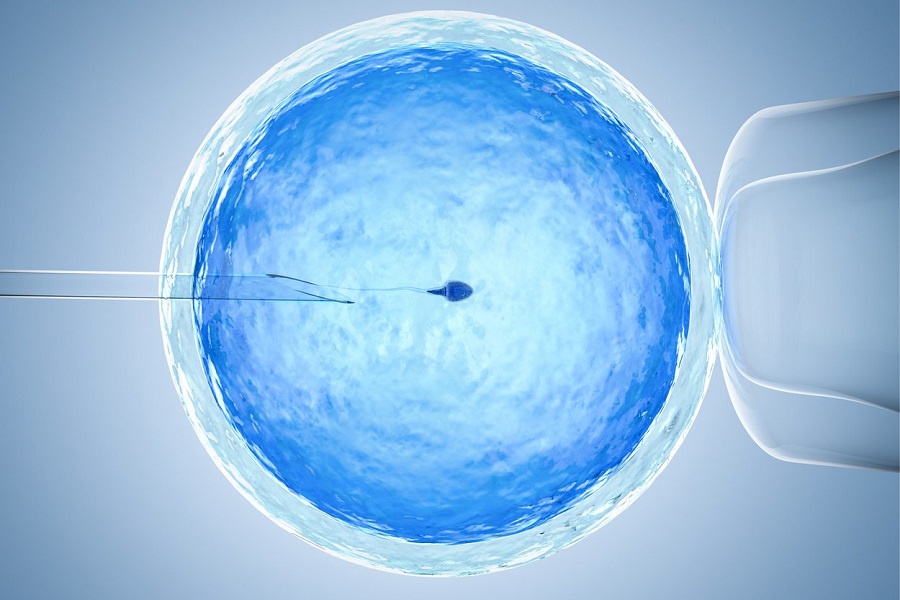 Innovative test to personalise in vitro fertilisation treatment