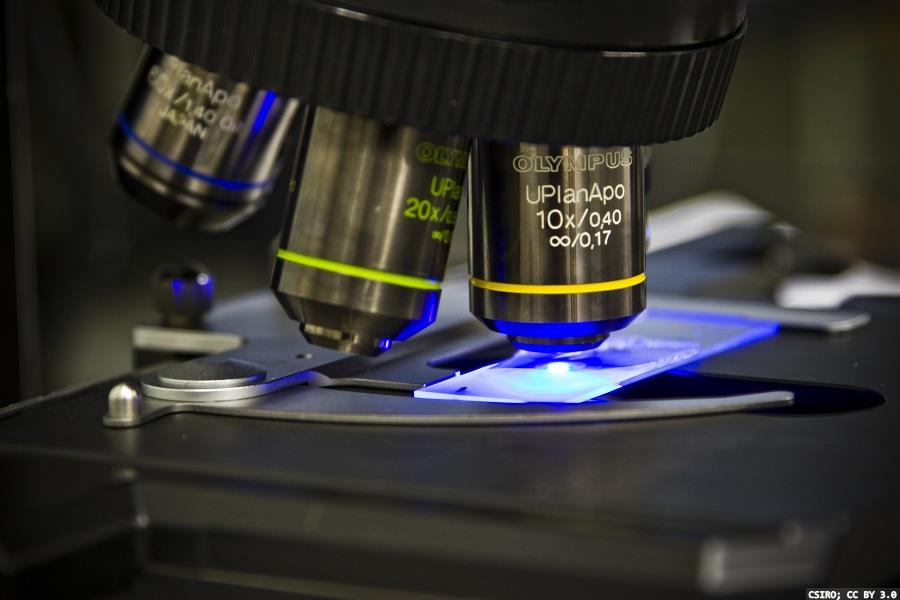 Connecting microscopists to advance research and imaging