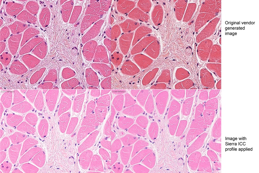 Colour calibration technology in digital pathology