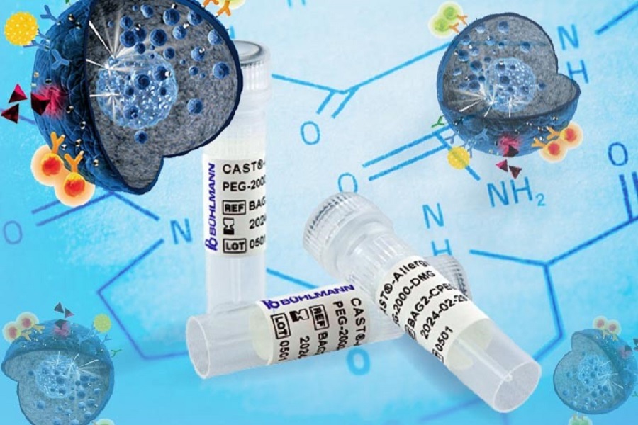 New PEG allergens for basophil activation assays