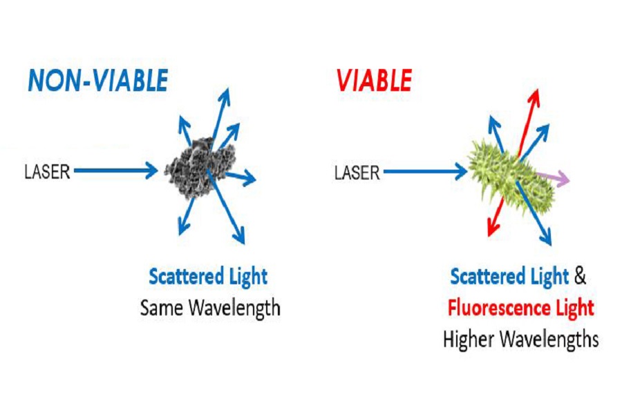 Improved detection and new mould discrimination