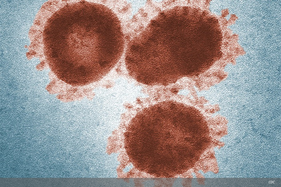 SARS-CoV-2 coronavirus and COVID-19 disease: a pandemic story update 