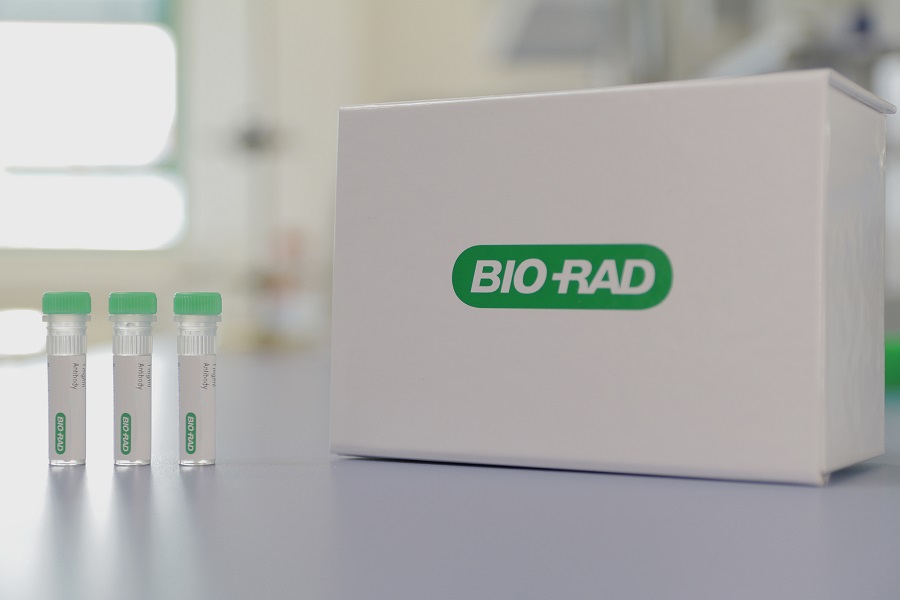 Introducing anti-cemiplimab antibodies