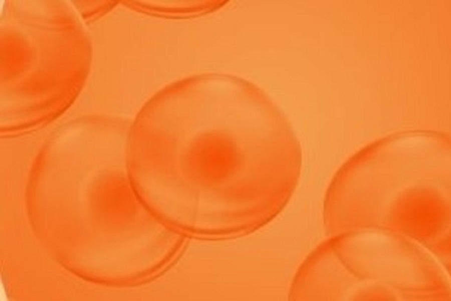 Acusera Anti-Müllerian Hormone Control