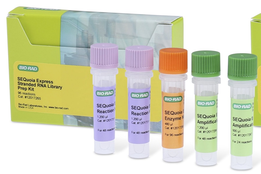 Optimal RNA-Seq library preparation for transcriptome profiling
