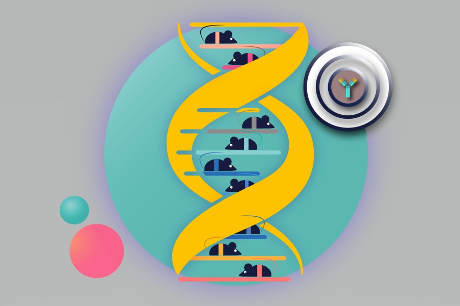 Biocytogen expands partnership with Merck