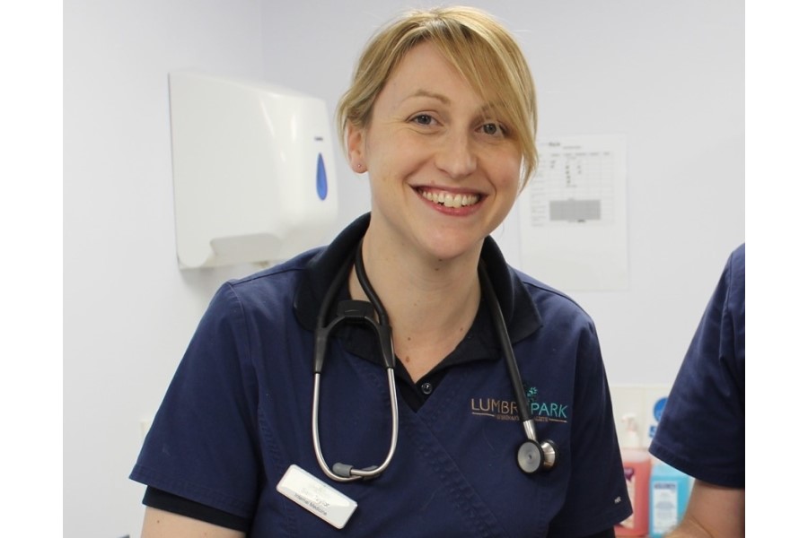 HORIBA to host feline infectious peritonitis CPD webinar