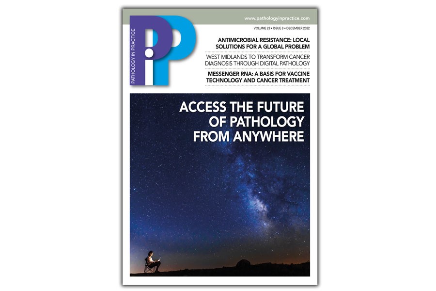 December issue of Pathology in Practice available to read online