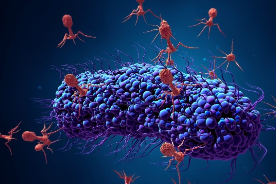 Vésale Bioscience receives €1.8M Euro grant for PhageDiag