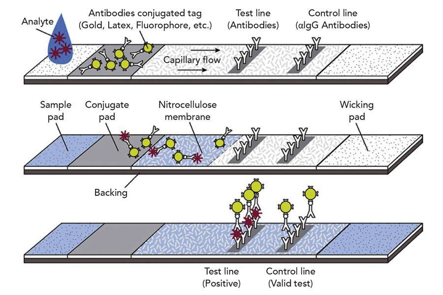 Lateral-flow assay developments: research published in the recent scientific literature