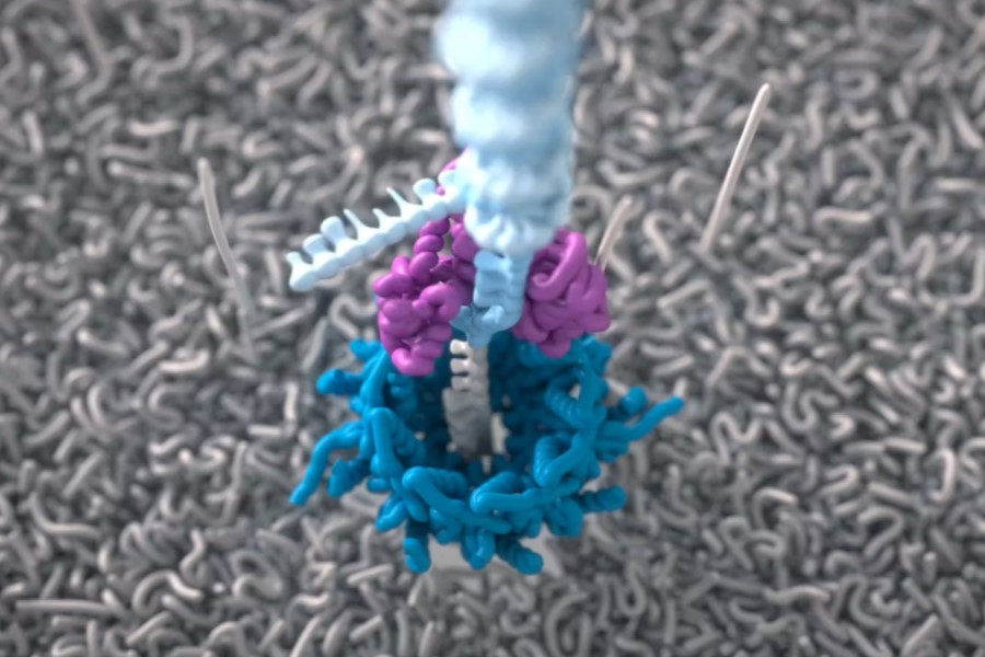 Oxford Nanopore and bioMérieux partner for infectious disease diagnostics