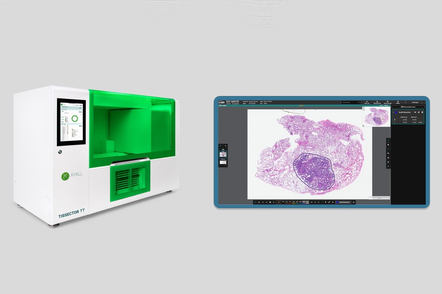 Xyall and Indica Labs collaborate to transform precision oncology workflows