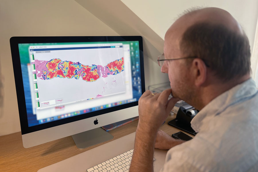 Health Economic Model: Making the financial case for digital pathology