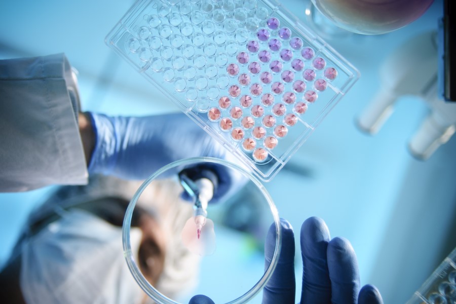 New survey highlights disease outbreak concerns