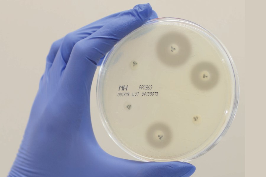 Mast Group chosen for Innovate UK's AMR project in Sweden