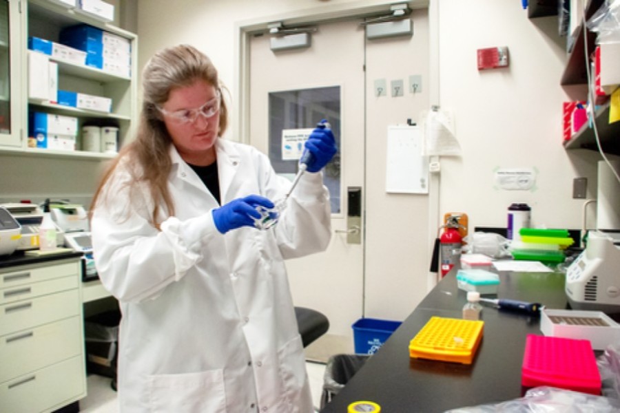 New genetic material for validating H5N1 bird influenza diagnostic tests