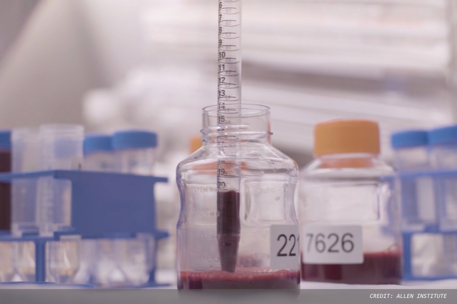 Novel ‘suspended animation’ blood draw technique