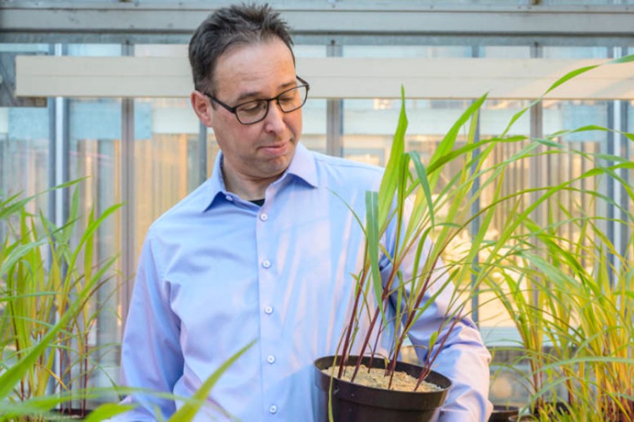Microbiology Society reveals Annual Conference ‘Hot Topic’ presentation