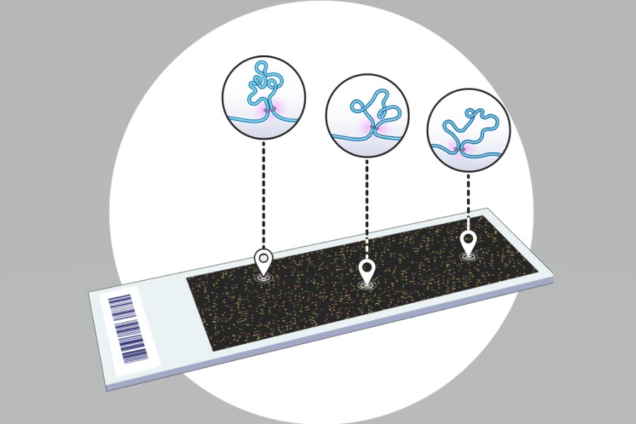 Novel blood test accurately detects detect colorectal cancer and polyps