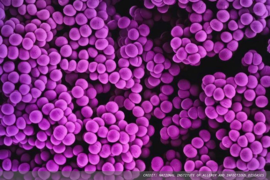 Diabetes can drive the evolution of antibiotic resistance