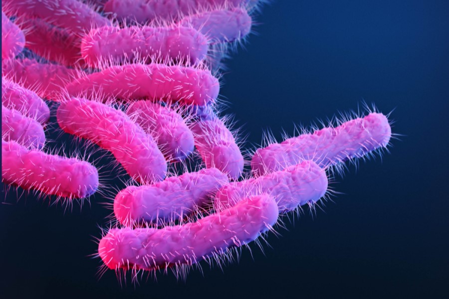 £1 million awarded to projects tackling AMR