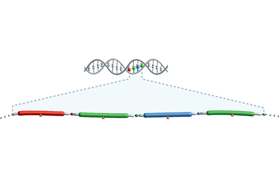 Roche unveils novel sequencing by expansion technology
