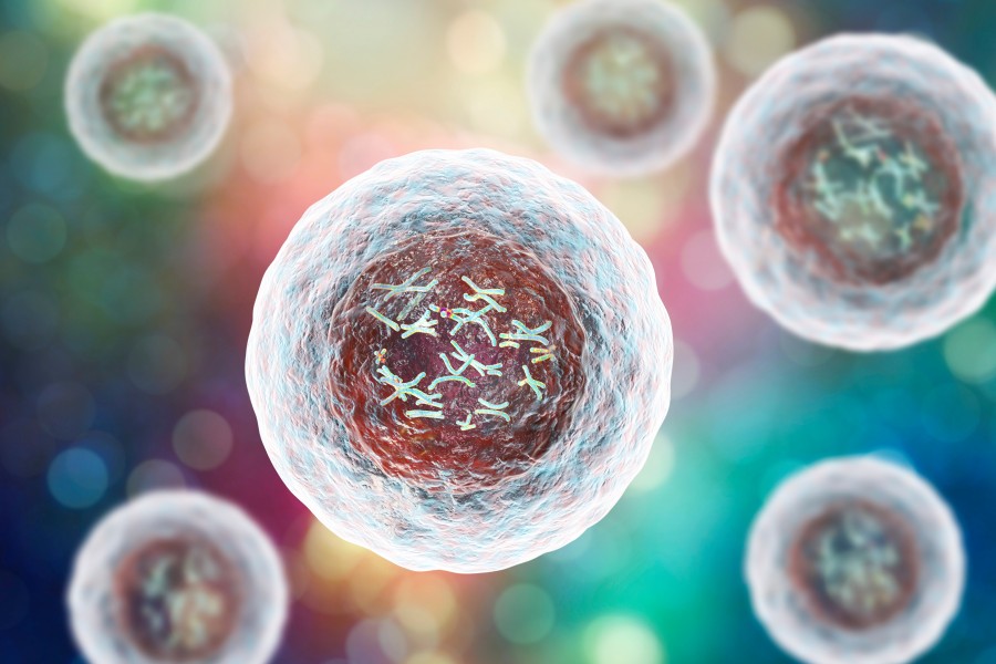 Clean Cells acquires Karyologic to accelerate expansion in US biologics market​