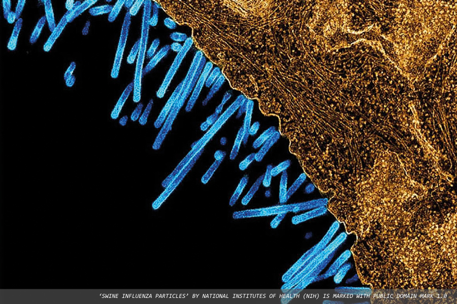 Preparing for another pandemic: RCGP Research and Surveillance Centre