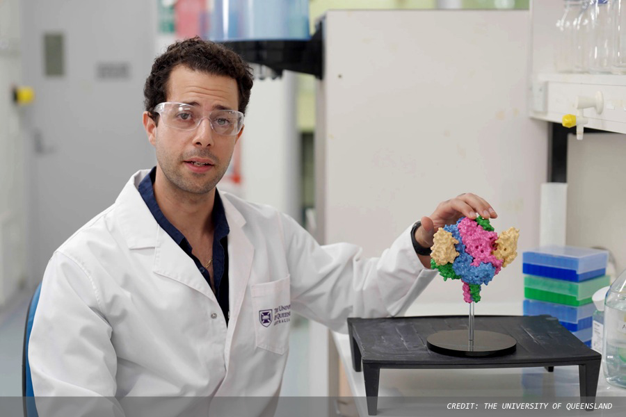 Novel nanobody effective against henipaviruses