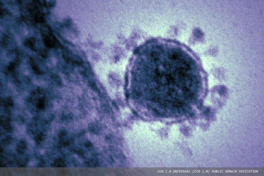 A new way to curb the spread of coronaviruses