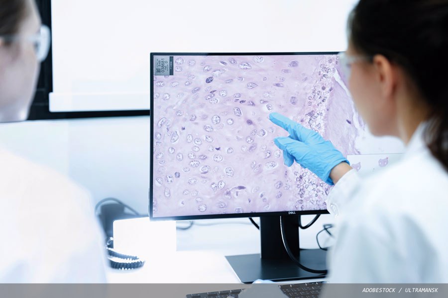 Digital pathology: what is actually required of the latest technology?