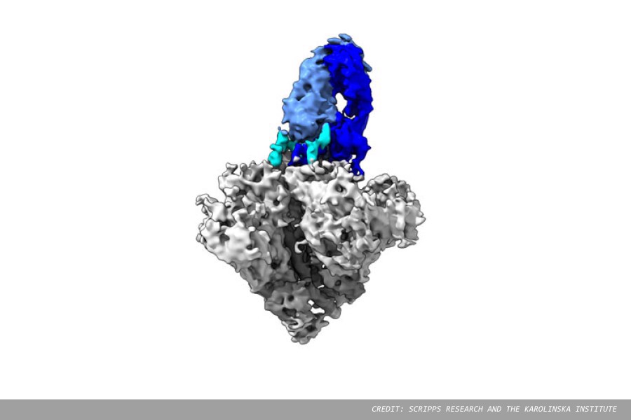 Experimental HIV vaccine achieves a long-sought goal