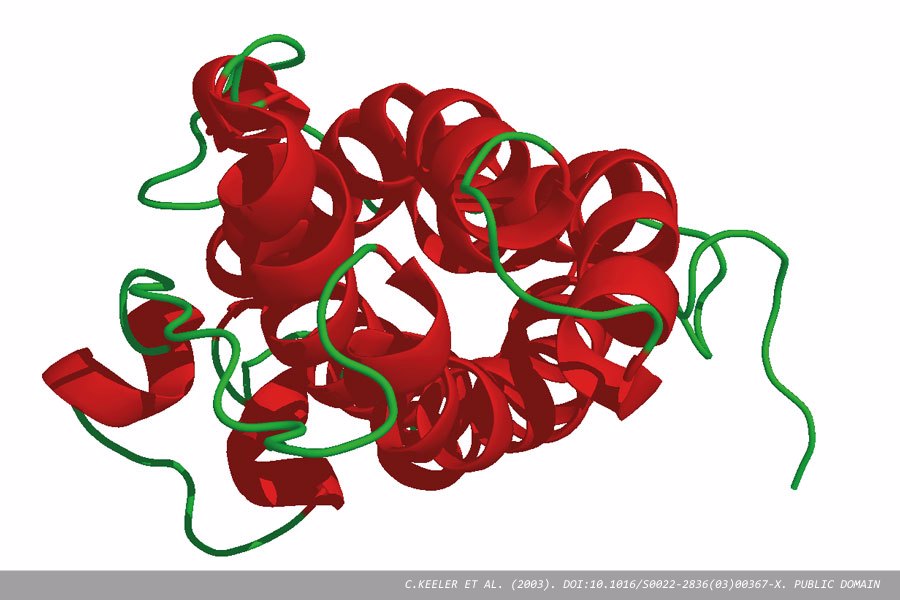 Verifying a legacy macroprolactin assay in an NHS biochemistry laboratory