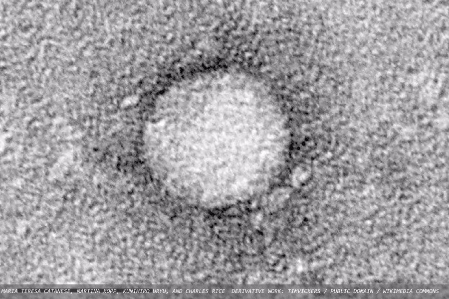 Hepatitis C virus testing: a route to disease elimination